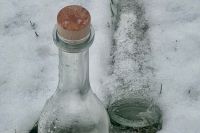 Flaschen im Frost.jpg