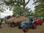 IMG-20250928-WA0005.jpg