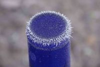 gefrorene Flasche.jpg